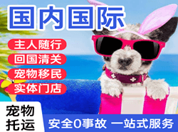 沧源佤山航空快递国际宠物托运 【国